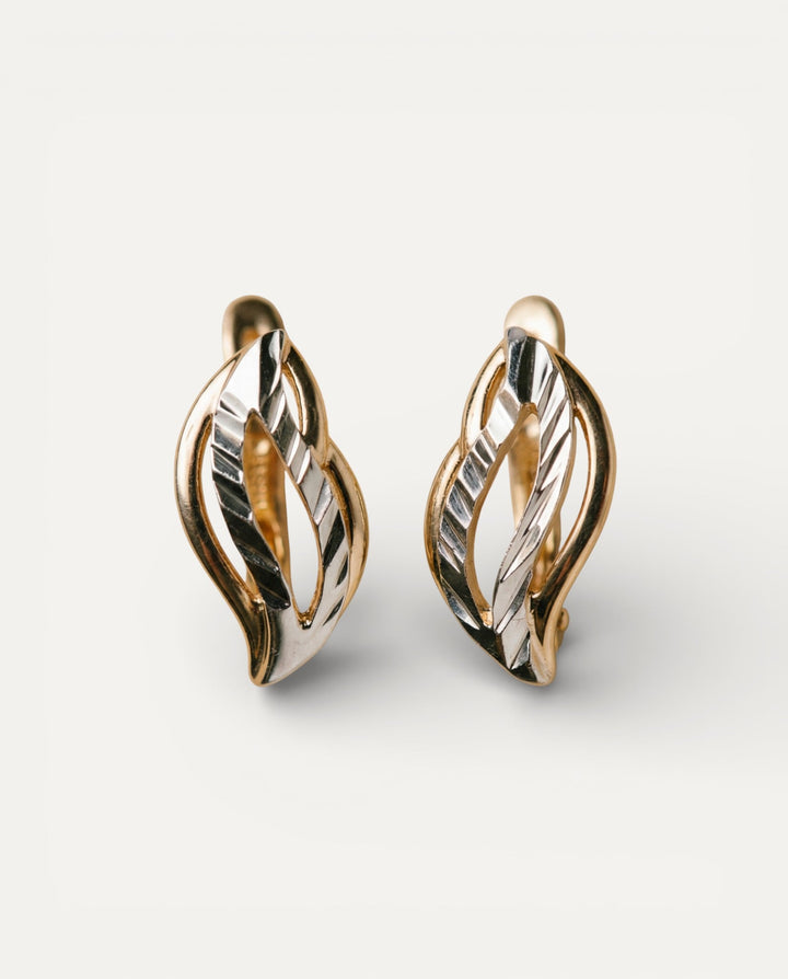 Elegant Gold and Silver Earrings